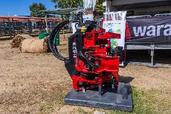 Waratah H 423