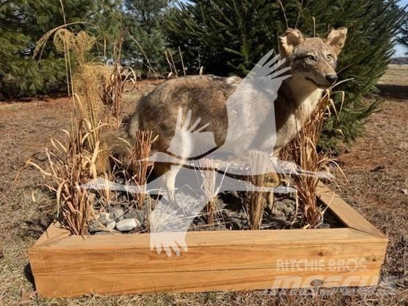 Coyote  Maszyny budowlane - Inne
