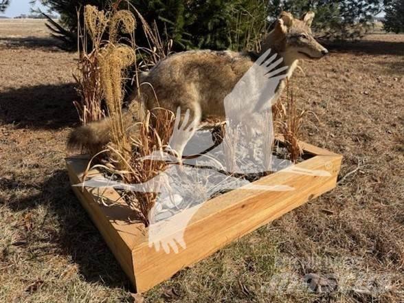 Coyote  Maszyny budowlane - Inne