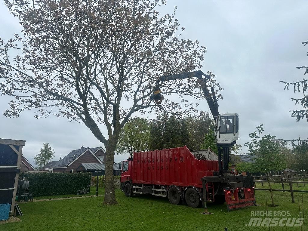DAF cf As75pc Samochody do przewozu drewna