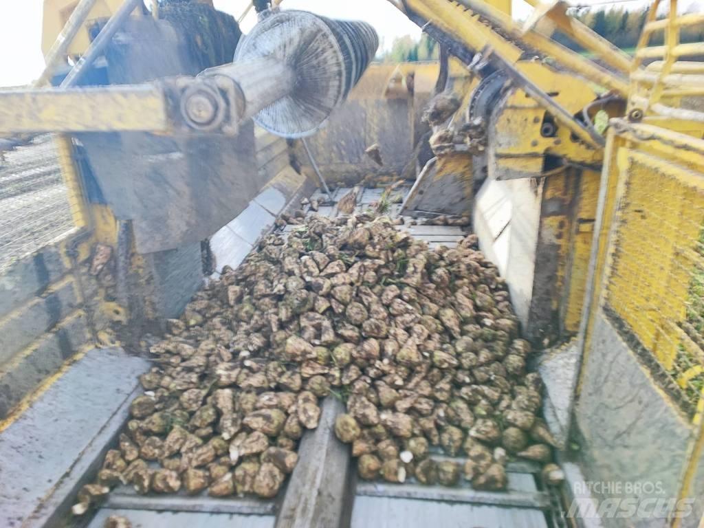 Ropa Tiger 4 Kombajny buraczane
