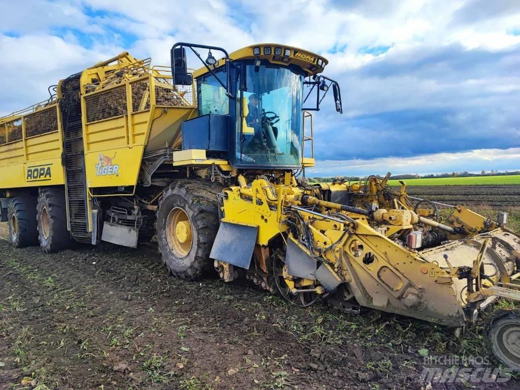 Ropa Tiger 4 Kombajny buraczane