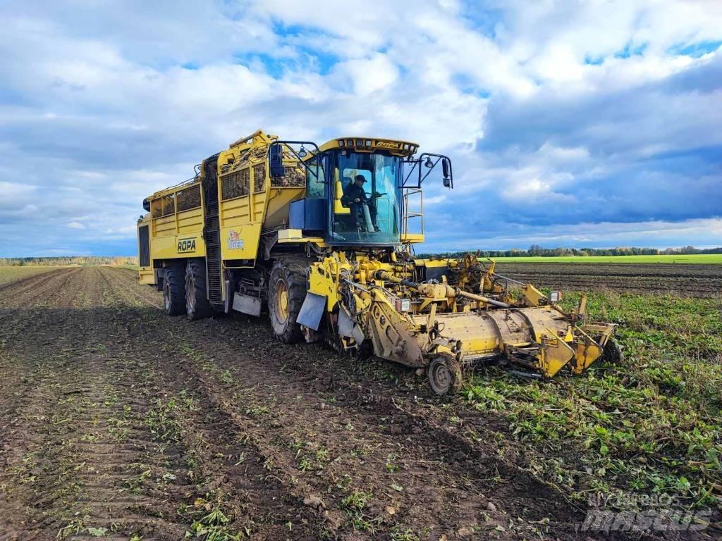 Ropa Tiger 4 Kombajny buraczane