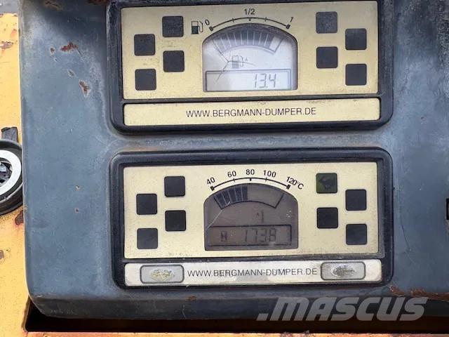 Bergmann 2050 Wozidła kolebkowe