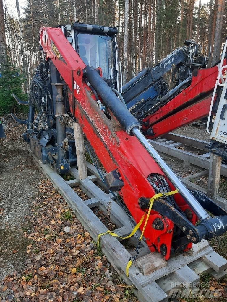 Epsilon M12L97 Żurawie leśne