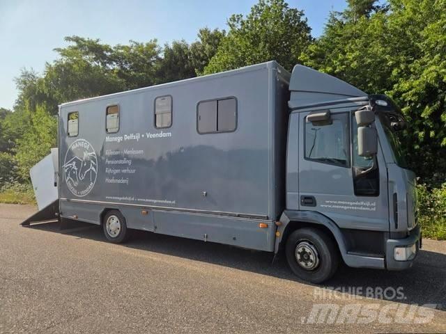 Iveco E 75 Pojazdy do transportu zwierząt