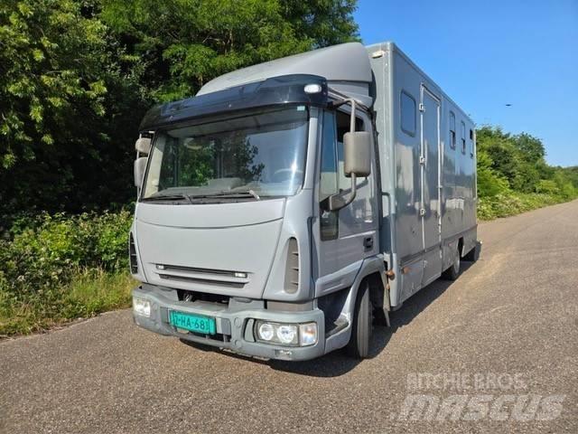 Iveco E 75 Pojazdy do transportu zwierząt