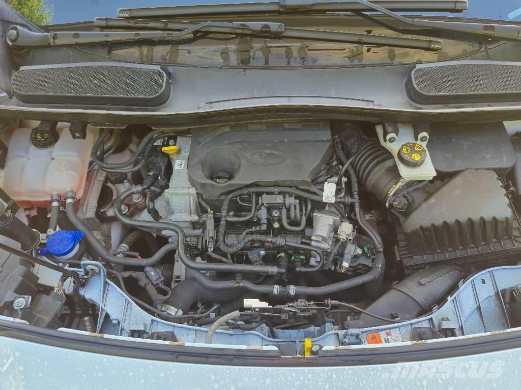 Ford Transit Connect Busy / Vany