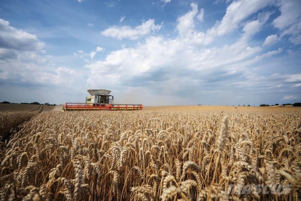 CLAAS Convio 930 Akcesoria do kombajnów zbożowych