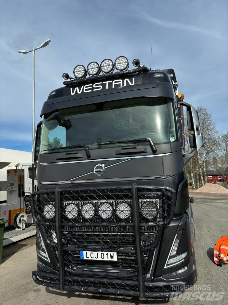 Volvo FH16 650 Samochody do przewozu drewna