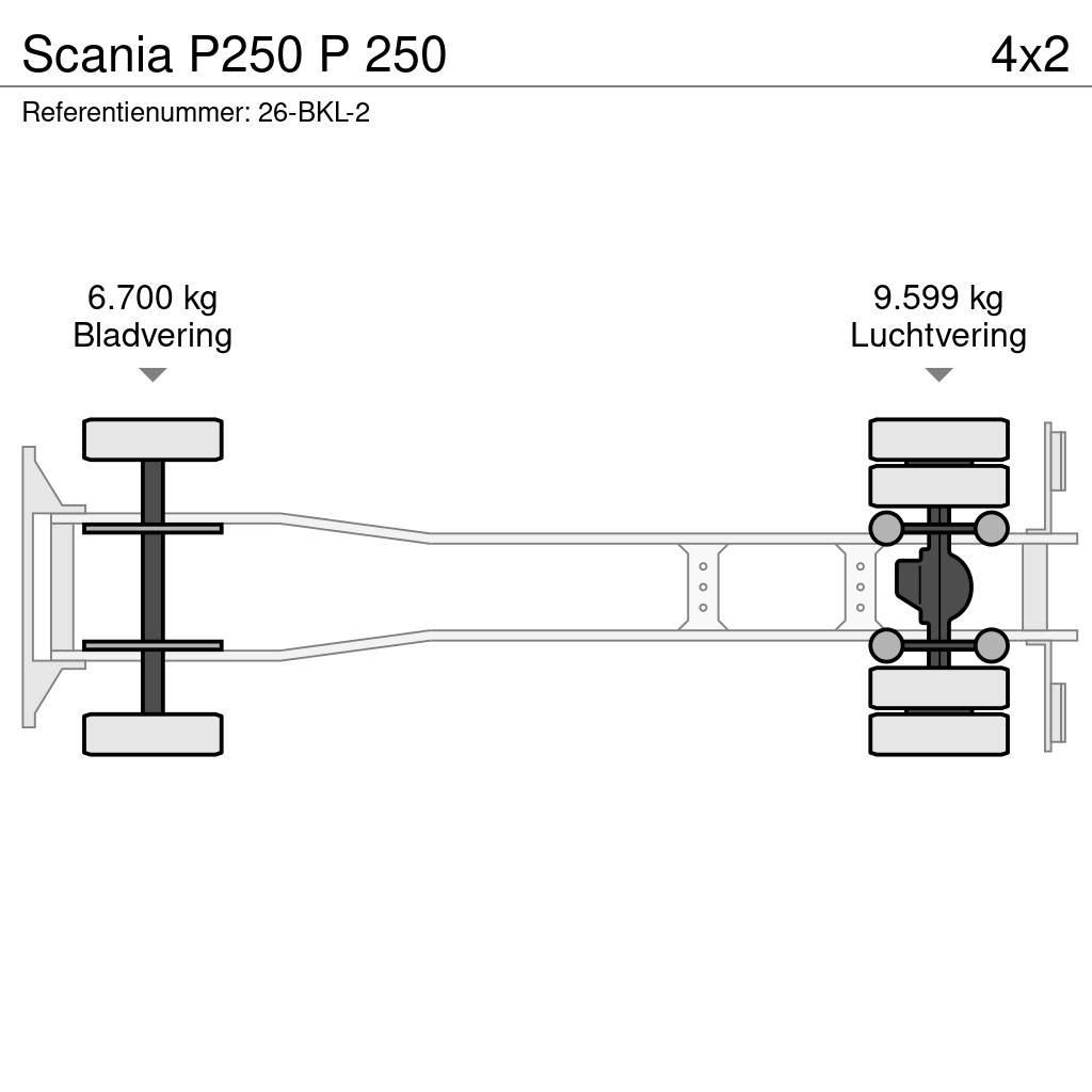 Scania P250 P 250 Samochody ciężarowe ze skrzynią zamkniętą