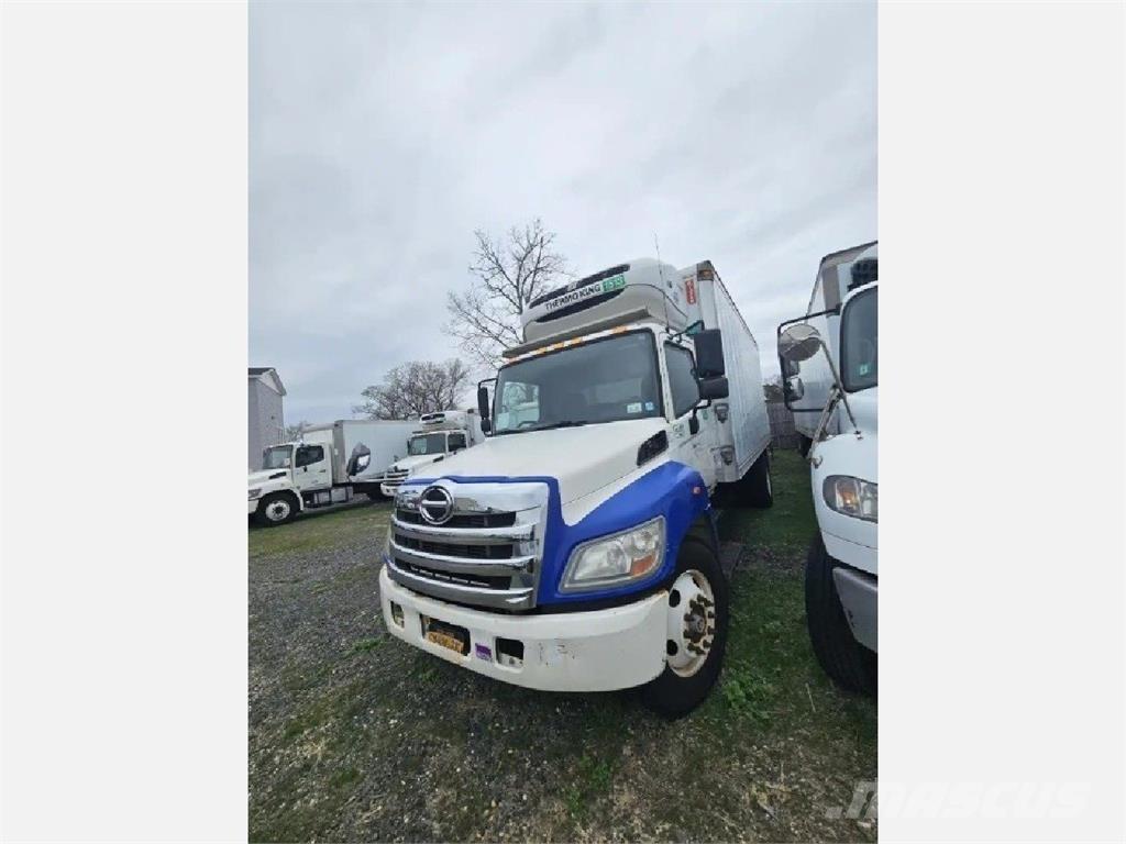 Hino 338 Chłodnie samochodowe