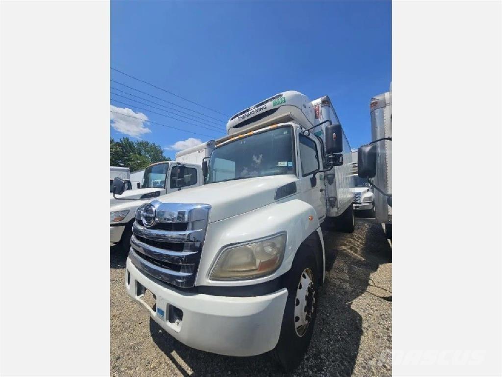 Hino 338 Chłodnie samochodowe