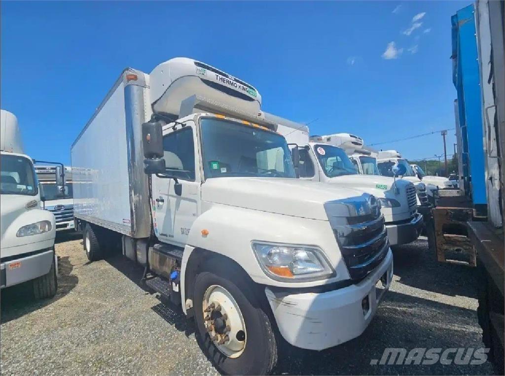 Hino 338 Chłodnie samochodowe
