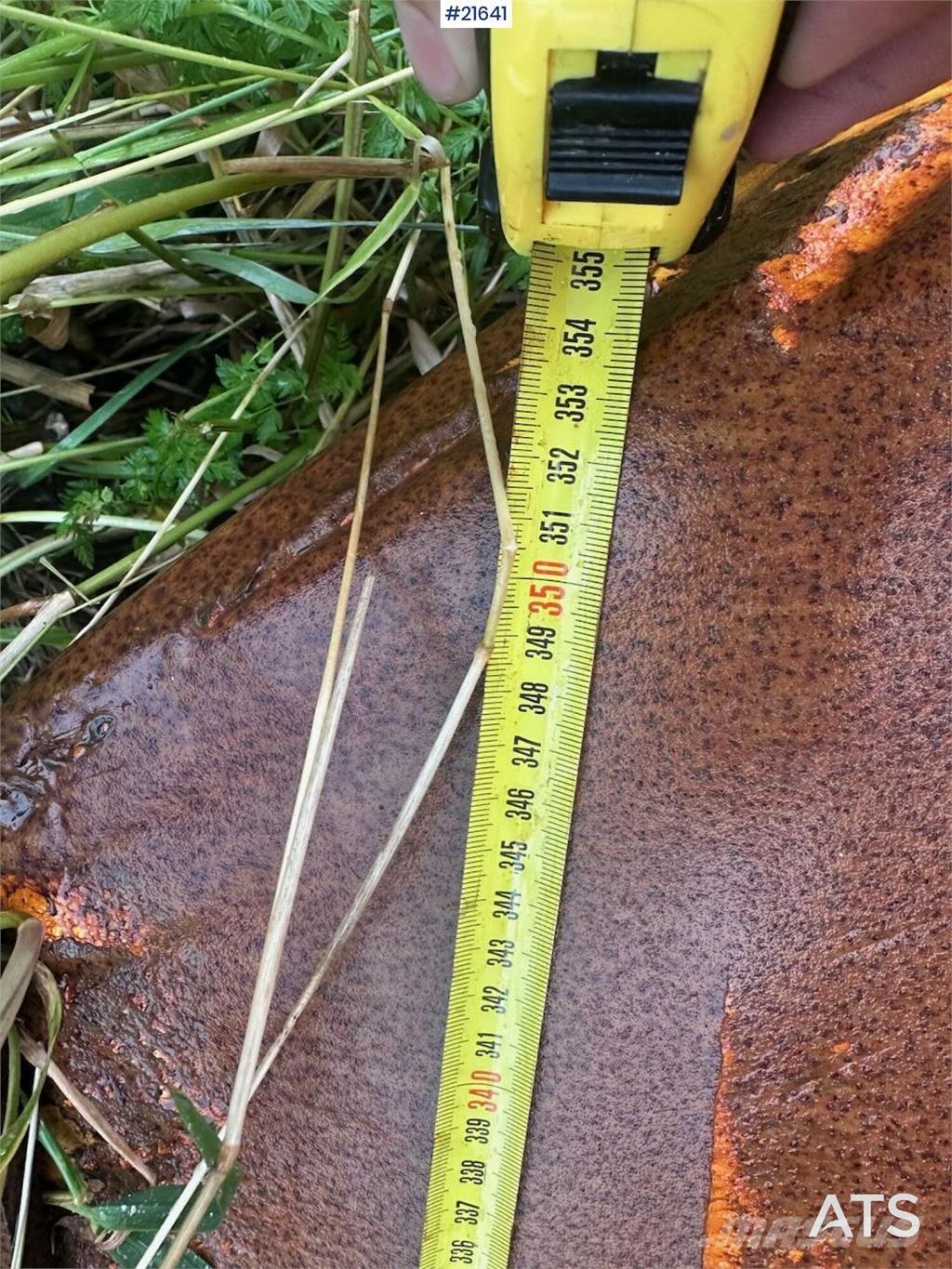  Gmill HDA 265 plow. Transport - Inne