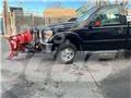 Ford F 350 Ciężarówki typu Platforma / Skrzynia