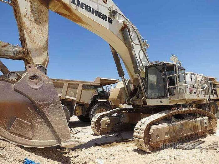 Liebherr R9150 Koparki specjalne