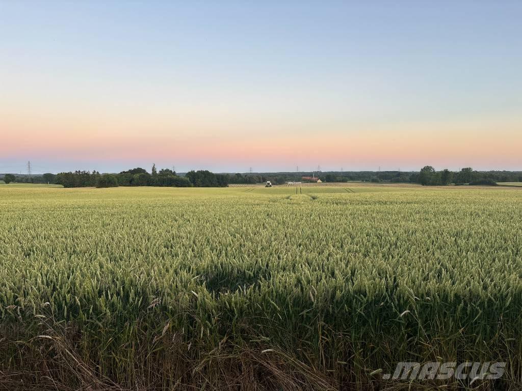 Case IH Maxxum 115 Ciągniki rolnicze