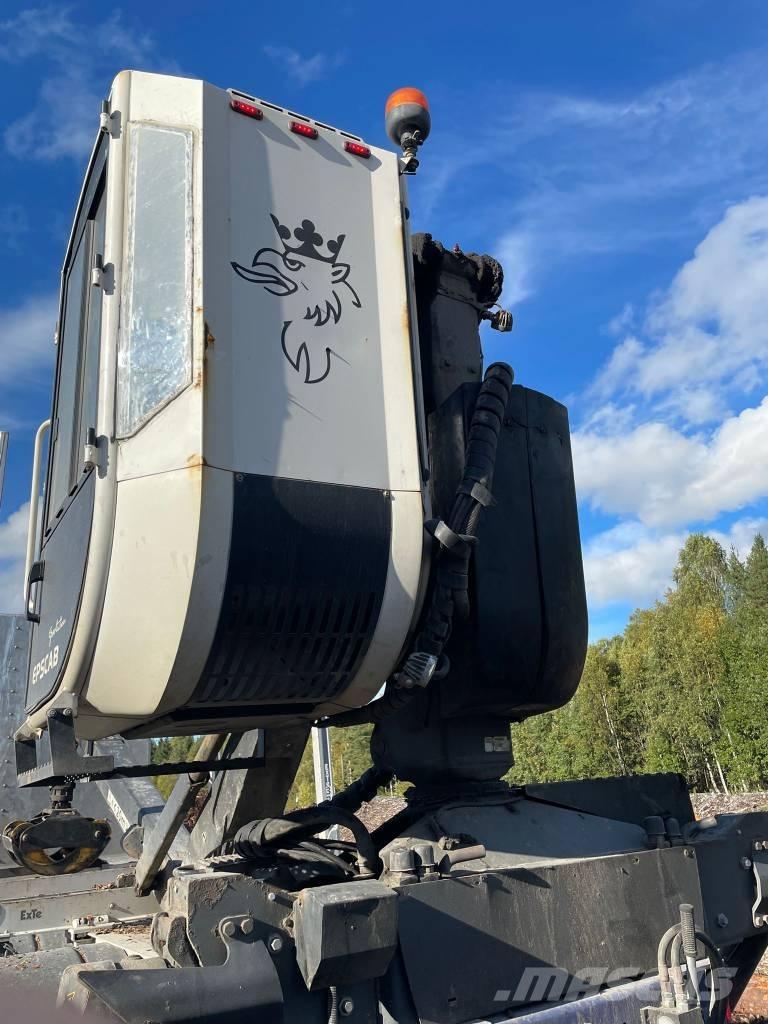 Epsilon M12Z105 Żurawie leśne