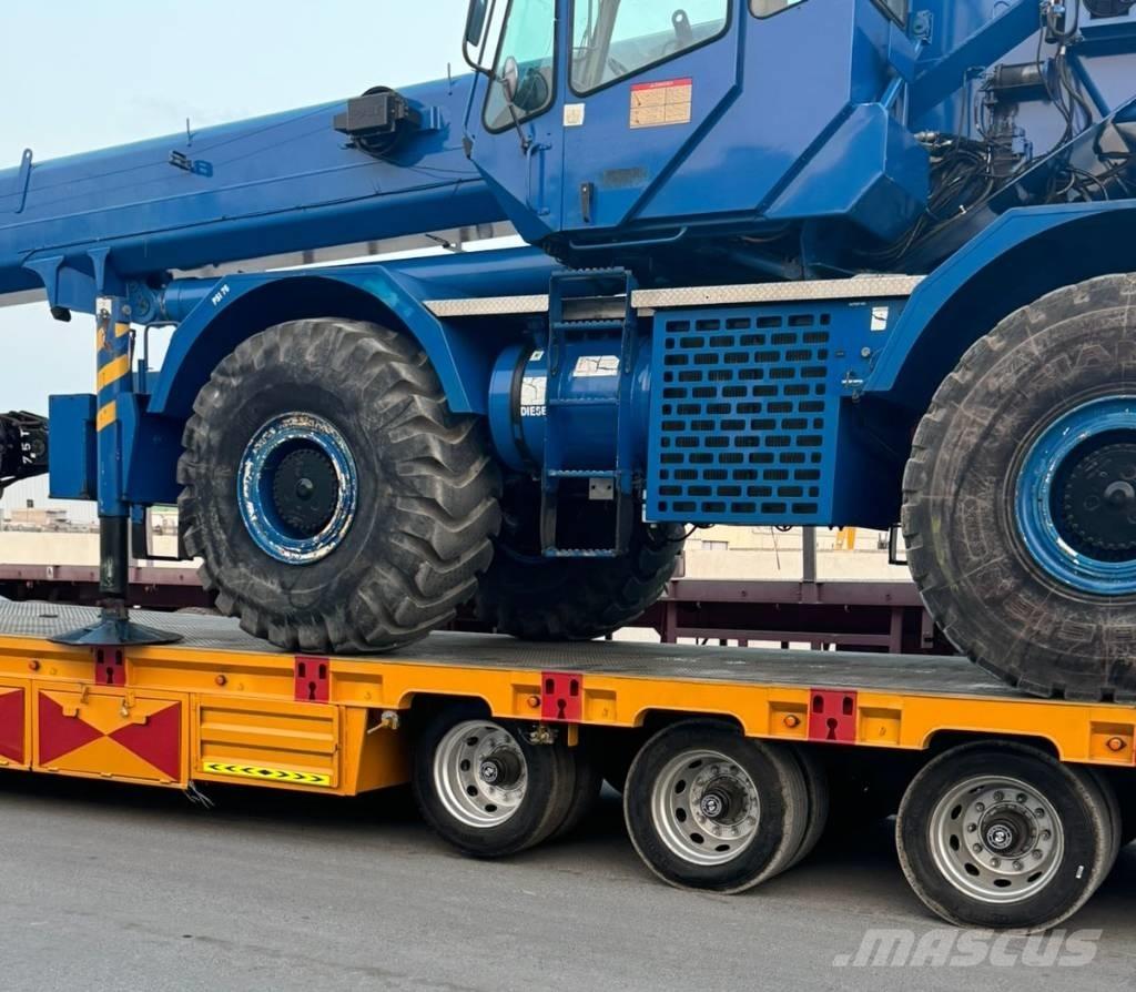 Grove RT 880 E Żurawie terenowe