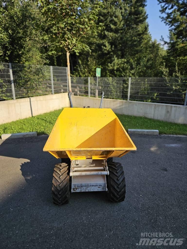 Bergmann C301S Wozidła kolebkowe