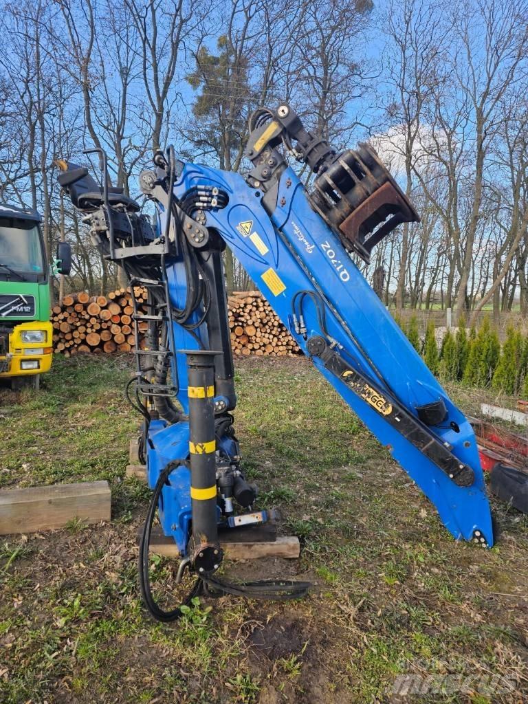 Epsilon Q170Z96 Żurawie leśne