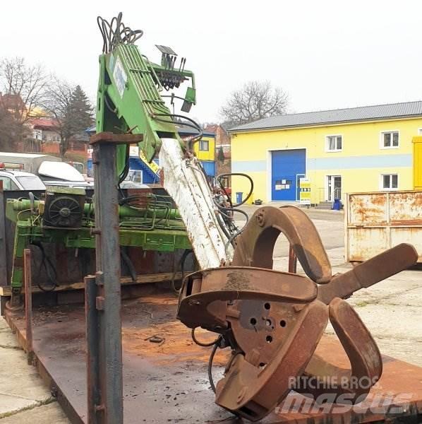  _JINÉ (NL) Kennis - 11000 Żurawie