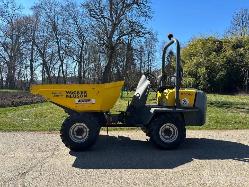Wacker Neuson 3001 Wozidła kolebkowe