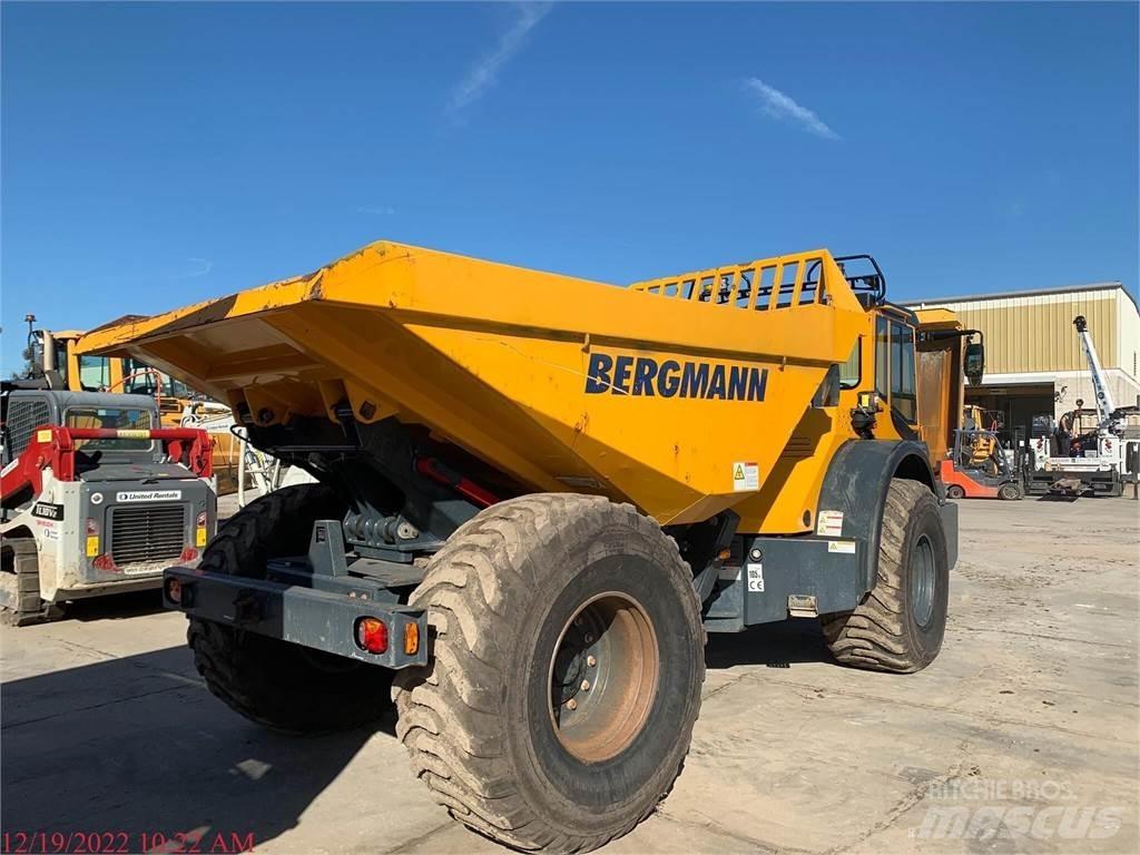 Bergmann C815S Polewaczki