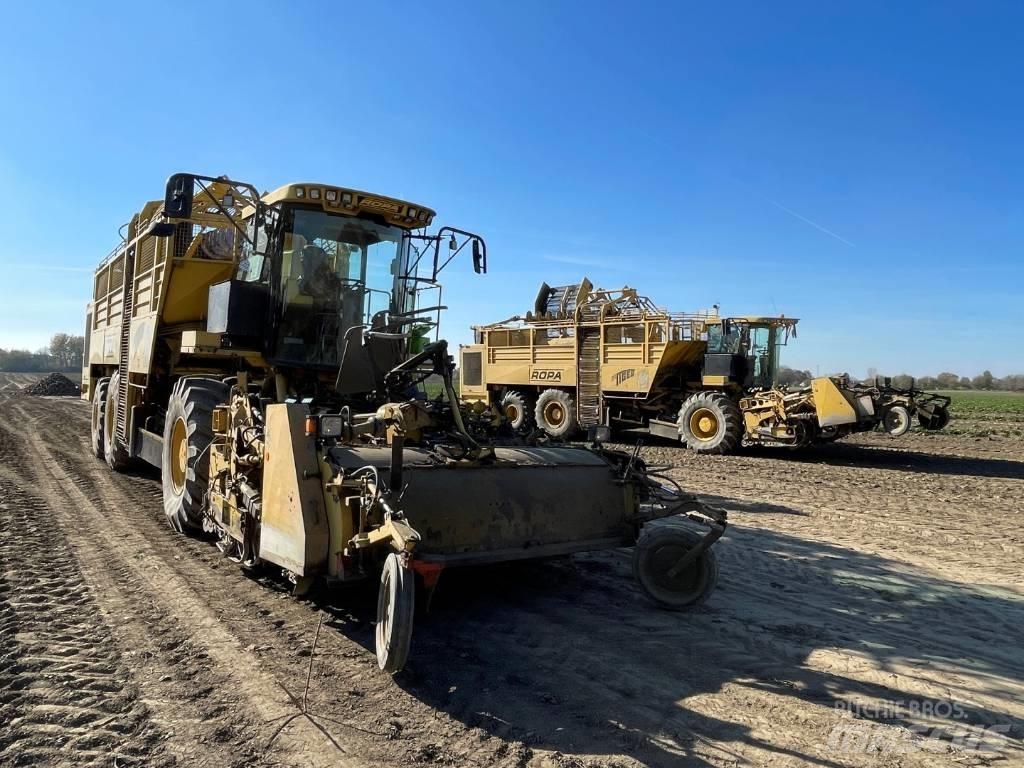Ropa Euro Tiger Kombajny buraczane