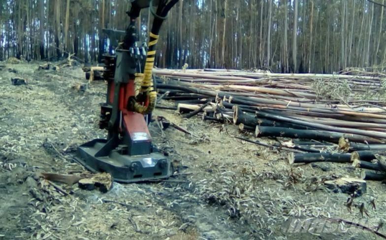  Vicort VAF 45 Łuparki, pilarki i wiórkarki