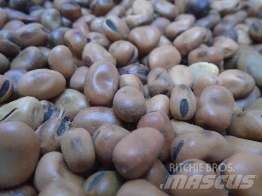  feverole Maszyny budowlane - Inne