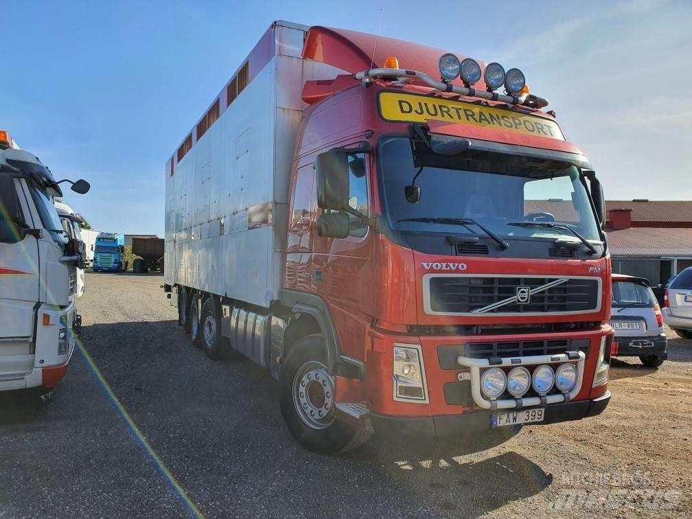 Volvo FM12 Pojazdy do transportu zwierząt