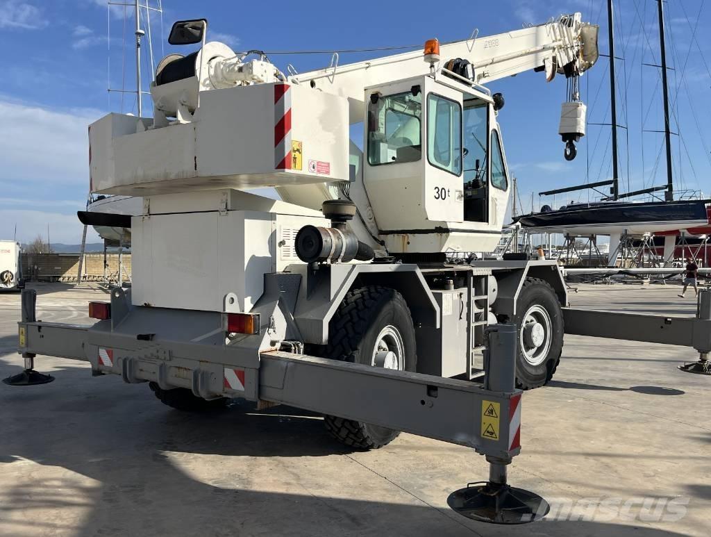 Terex A 300 Żurawie terenowe