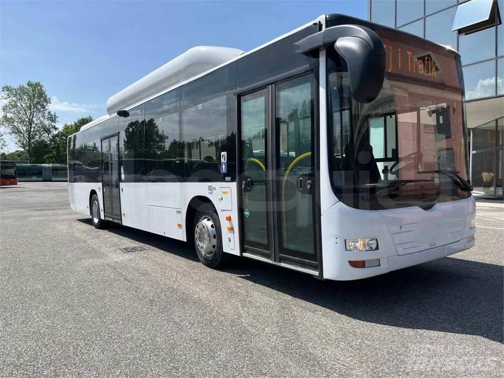 MAN A21 Autobusy miejskie