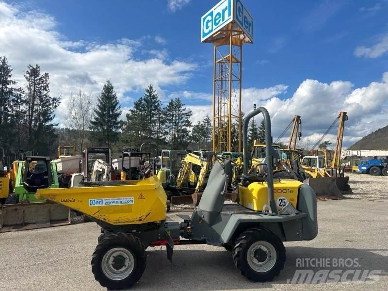 Neuson 3001 Wozidła kolebkowe