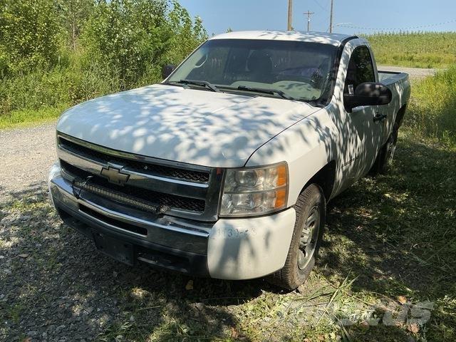 Chevrolet 1500 Pick-upy / Pojazdy z otwieranymi burtami