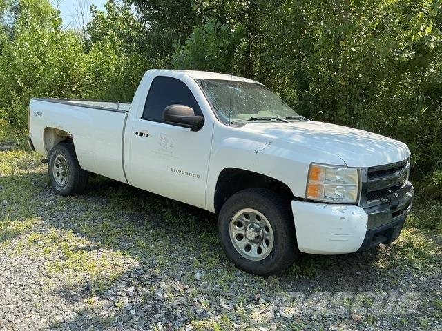 Chevrolet 1500 Pick-upy / Pojazdy z otwieranymi burtami