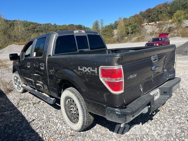 Ford F-150 Pick-upy / Pojazdy z otwieranymi burtami