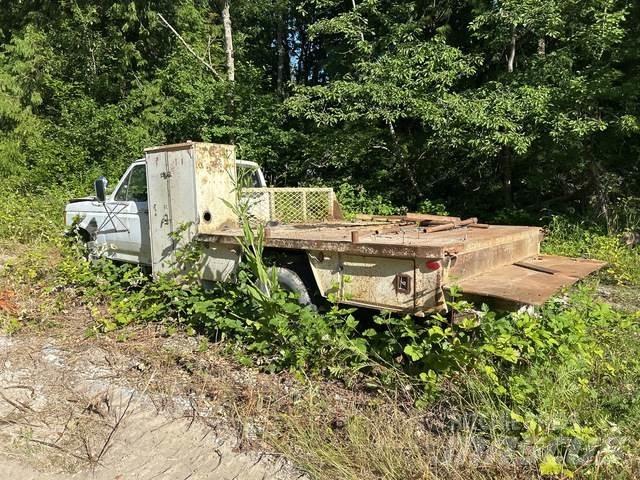 Ford F-450 Ciężarówki typu Platforma / Skrzynia