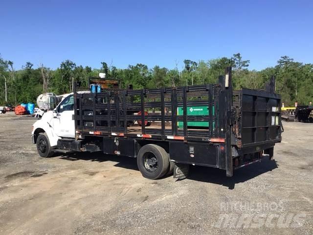 Ford F650 Ciężarówki typu Platforma / Skrzynia
