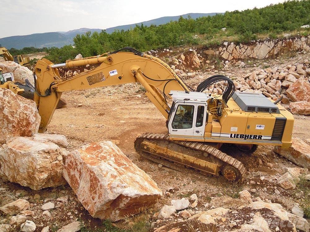Liebherr R974BHD Koparki gąsienicowe