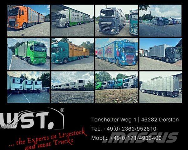 Eggers HTP Plane Przyczepy firanki