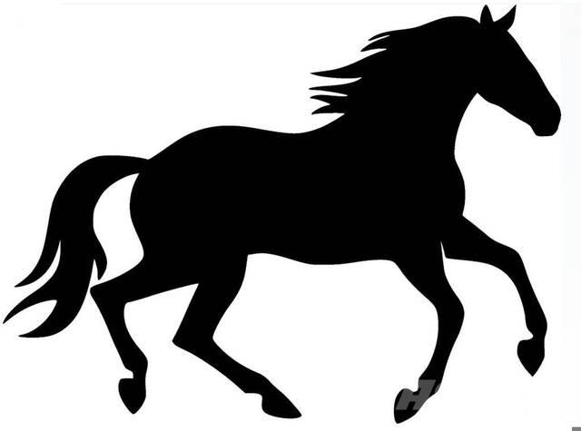  Dark Bay Stallion Maszyny budowlane - Inne