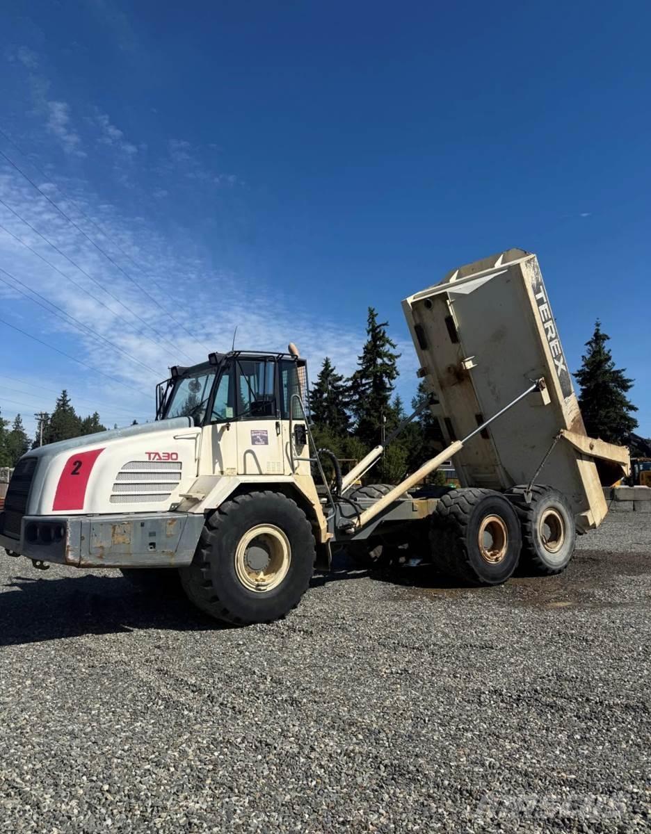 Terex TA30 Busy / Vany