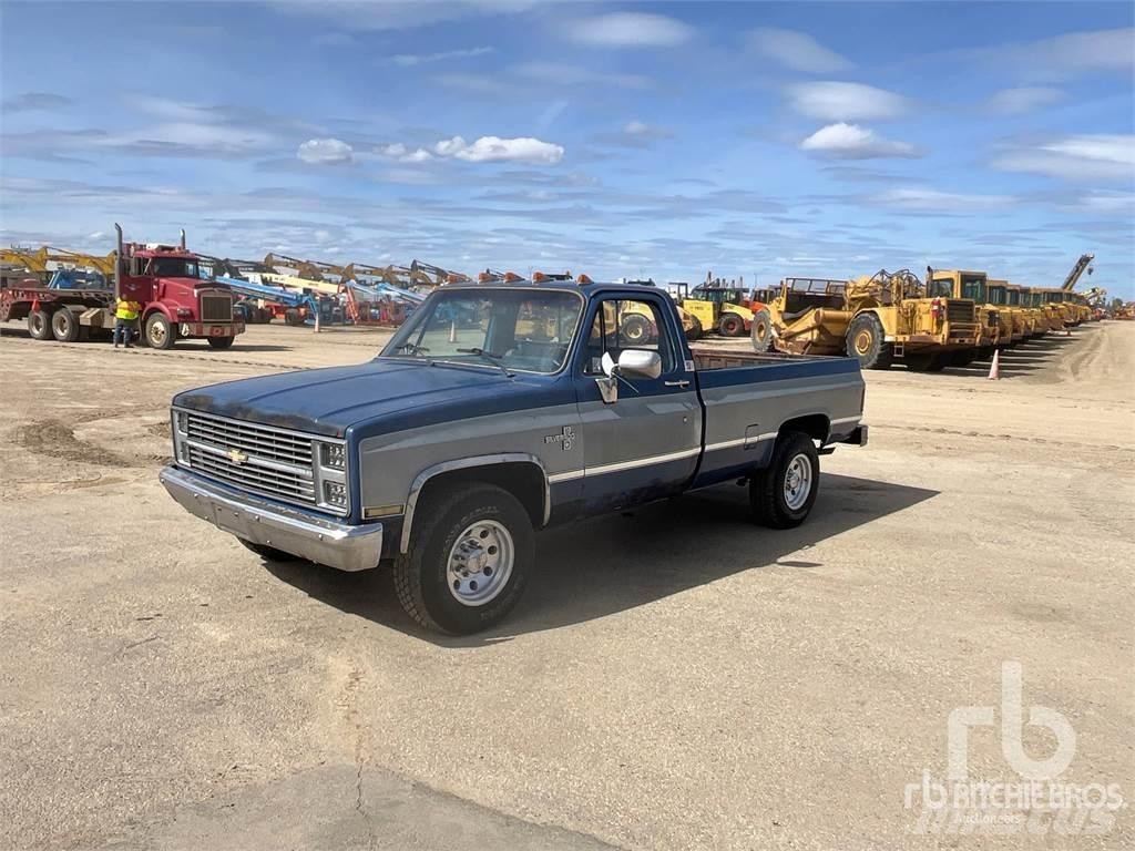 Chevrolet C10 Pick-upy / Pojazdy z otwieranymi burtami