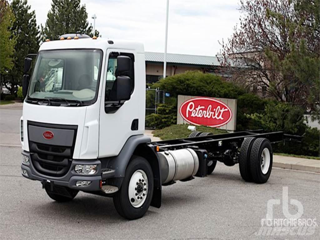 Peterbilt 220 Pojazdy pod zabudowę
