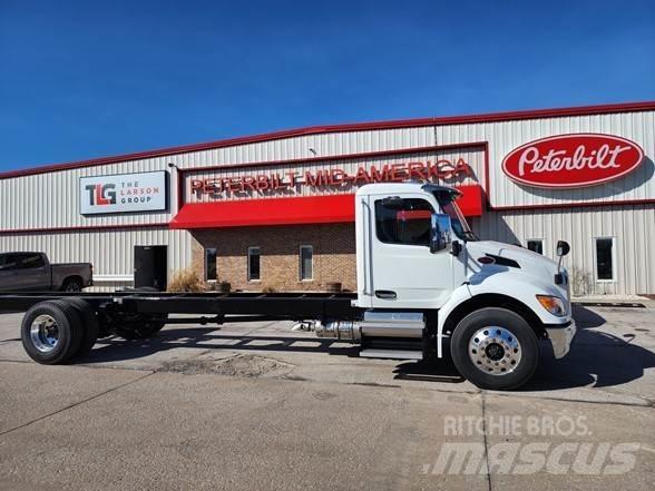 Peterbilt 536 Pojazdy pod zabudowę
