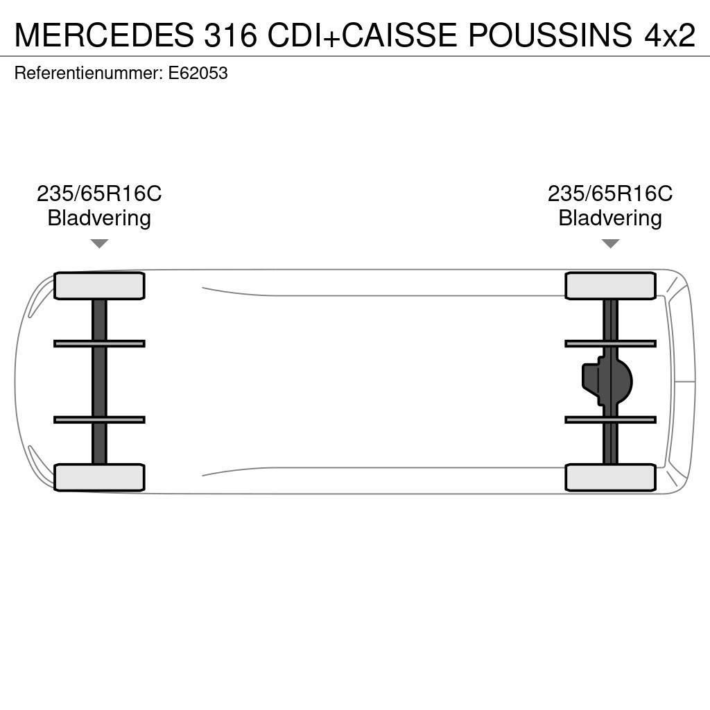 Mercedes-Benz 316 CDI+CAISSE POUSSINS Samochody chłodnie