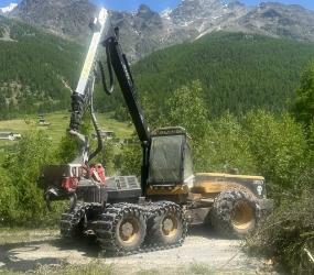 Eco Log 580D mit Logmax 6000B - Gebrauchtmaschine